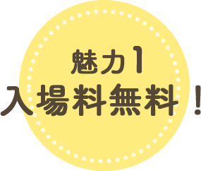 魅力1