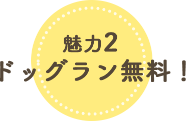 魅力2