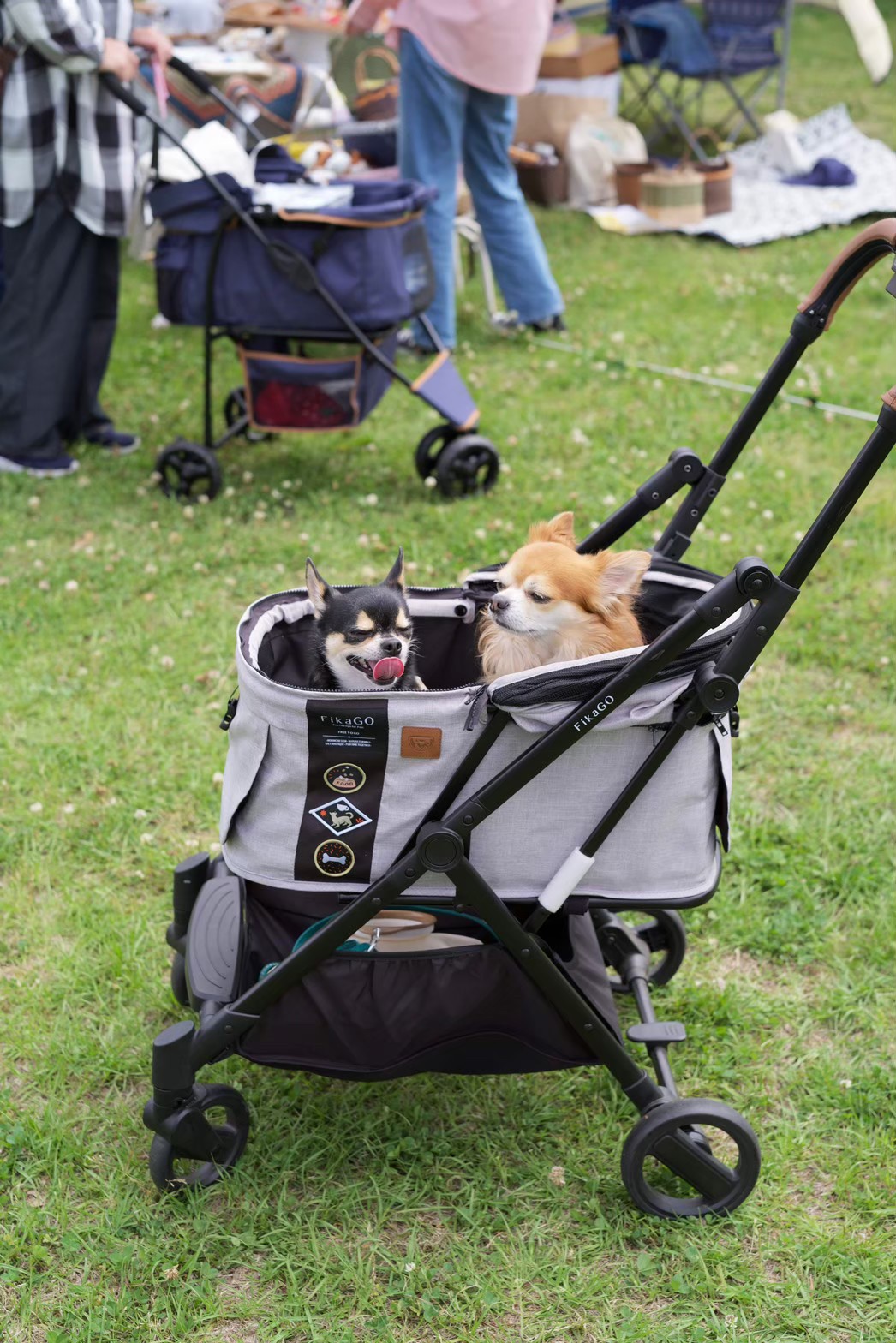 犬の写真